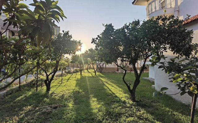 Freeman Greenlees Hellenic Garden House