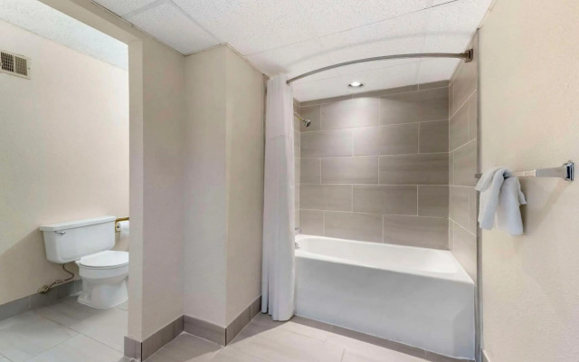 Quality Inn Alamosa