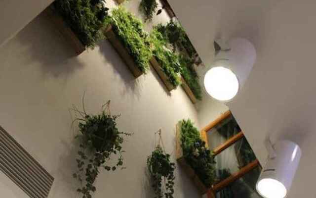 Homestay Quynh Anh