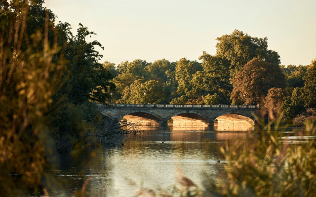 Six Senses London