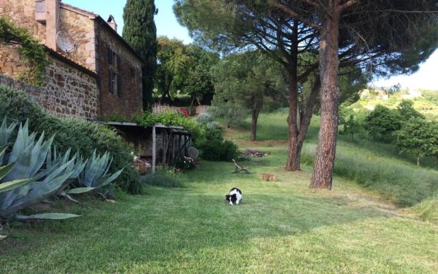 Nocini di Maremma