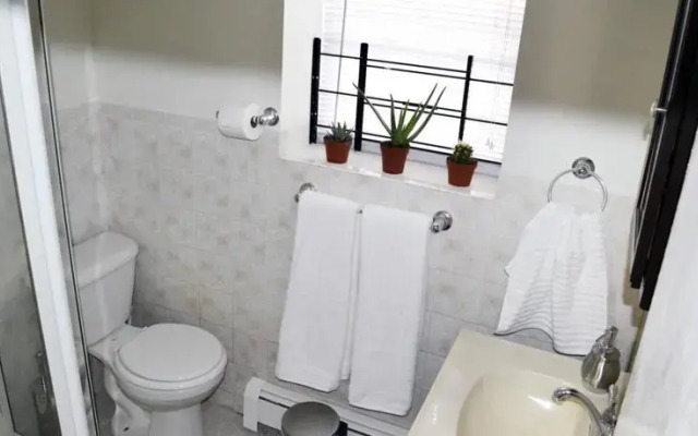 Damaskrentals