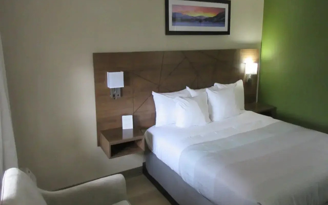 Quality Inn - фото 4