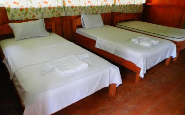 Amazon Eco Tours & Lodge