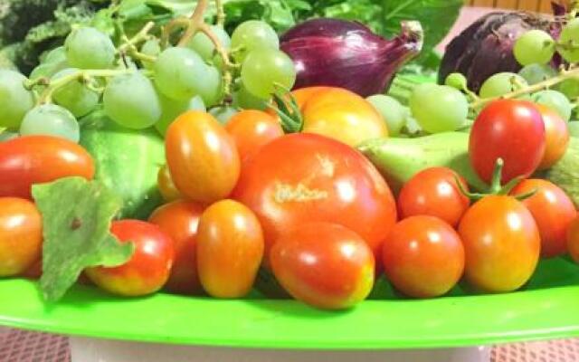 Eco Bed & Breakfast I Due Oleandri