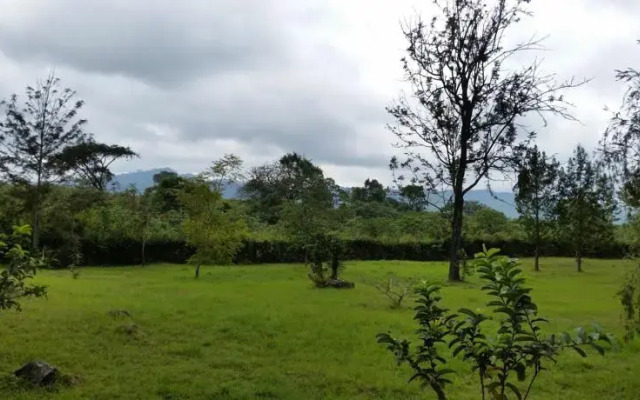Meru Simba Lodge