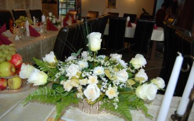 Vila Carpathia