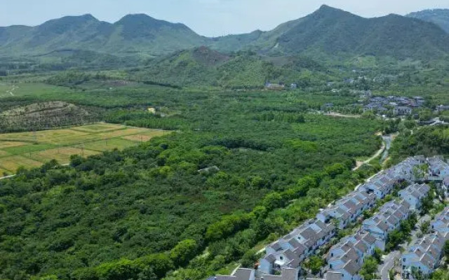 three trees single villa
