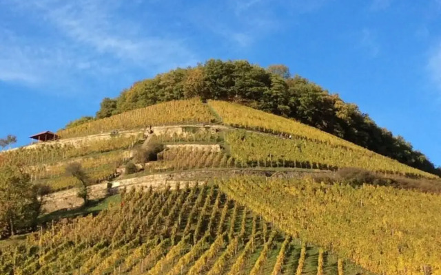 Holiday Apartment Meadow