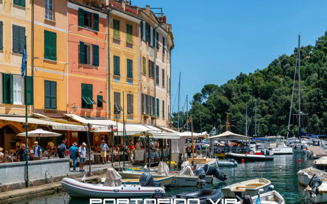 Your Window on Portofino