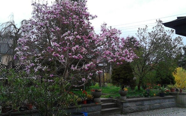 Ferienwohnung-der-Familie-Thierse