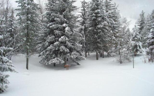 Appartement Serre Chevalier, 1 pièce, 4 personnes - FR-1-330F-61