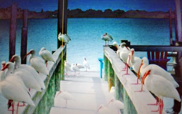 Paradise Cove at Lemon Bay