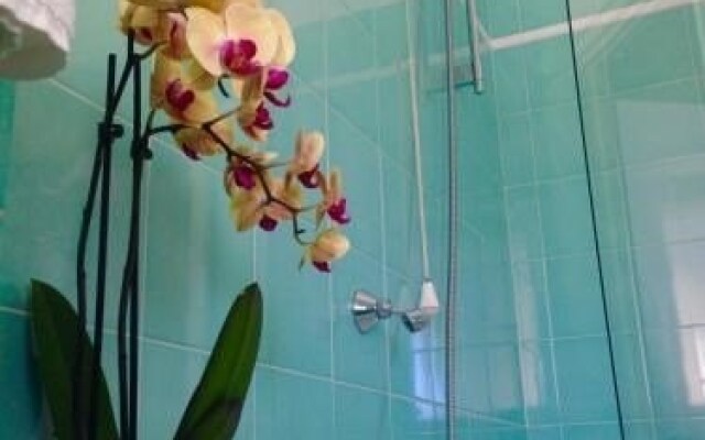 Felice B&B Monteverde Vecchio