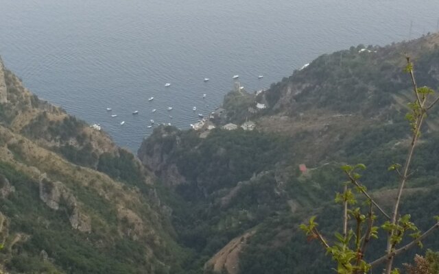 The Residence Grandfather Emilio