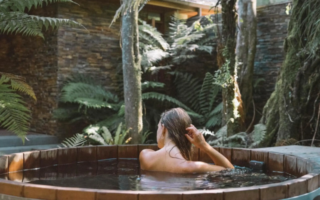 Treetops Lodge & Estate