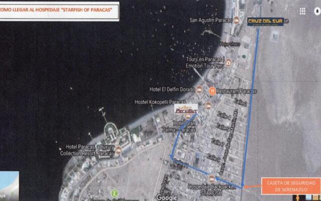 Starfish of Paracas