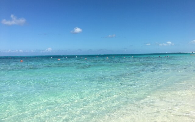 Coral Gardens on Grace Bay