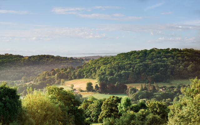Combe Grove