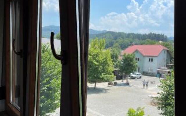 Apartments Gorska