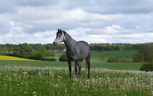 Lille Gaucho Bed & Breakfast