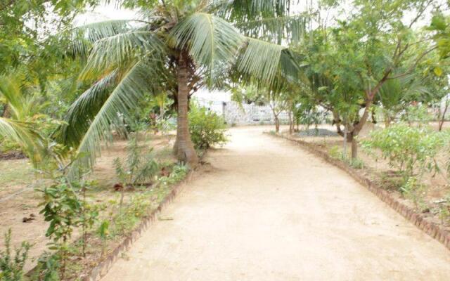 Yala beach resort