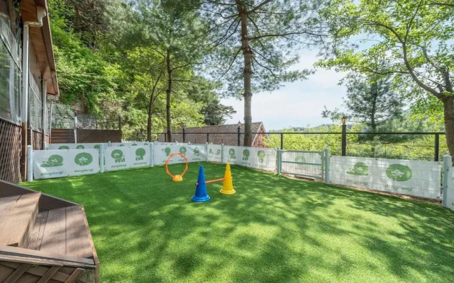 Gapyeong Daengdaengi Dog Pension Silver