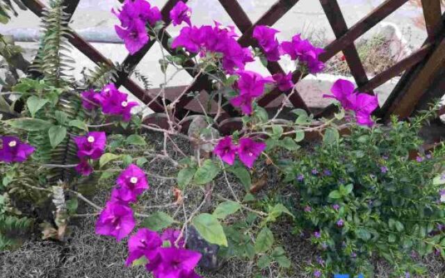 Yueqing Yandang Banshufang Inn