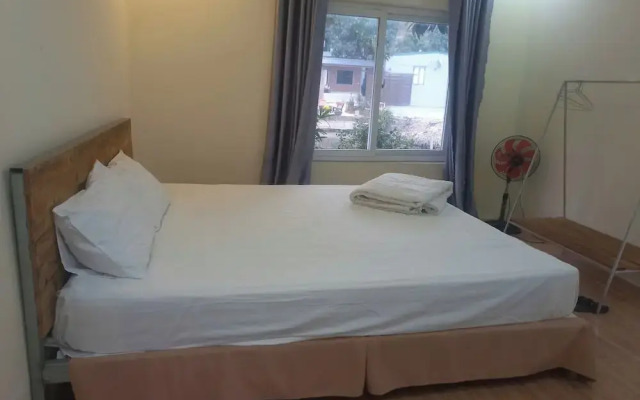 Trang an pristine view homestay