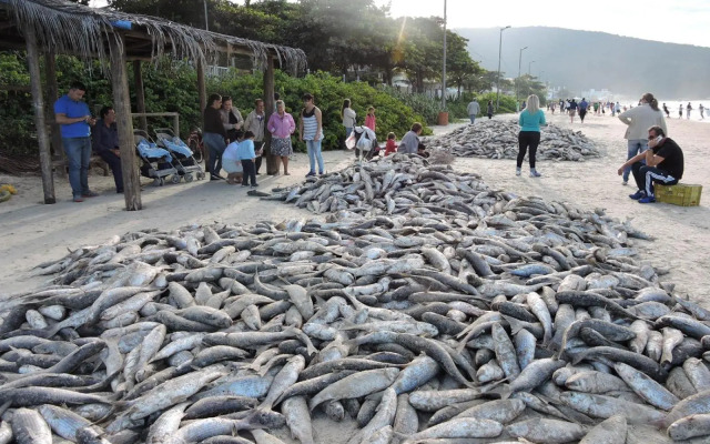 Apto 2 quartos no centro de Bombinhas, 130 metros praia