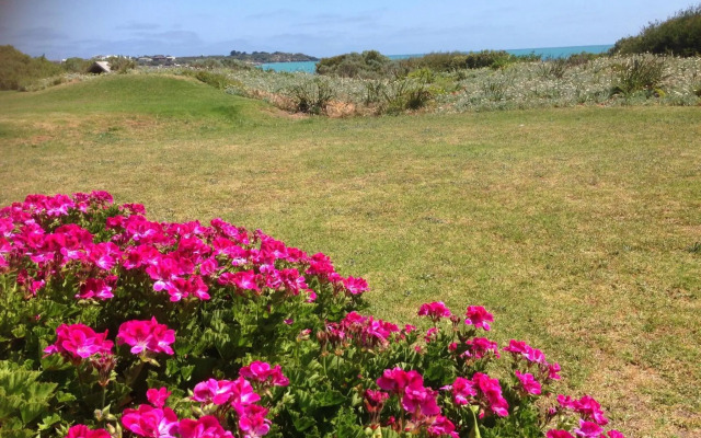 Polperro, a quintessential seaside experience