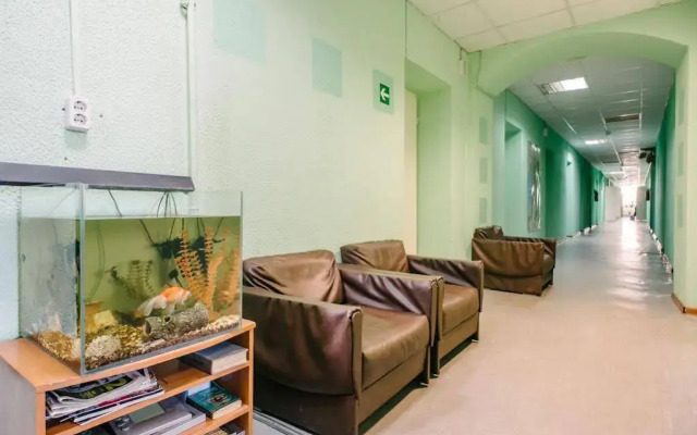 Zvezda Hostel