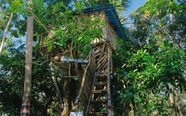 Nyuh Bengkok Tree House