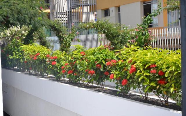 Alsol Las Orquideas