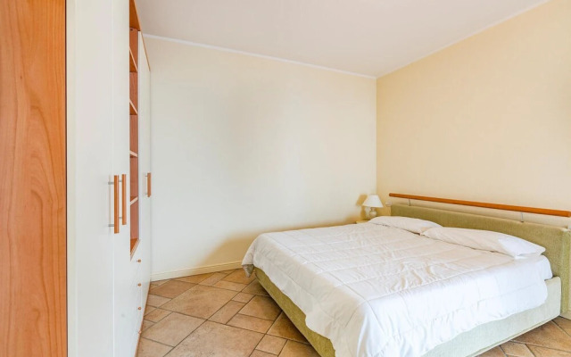 Vigneto due - Trilo 6