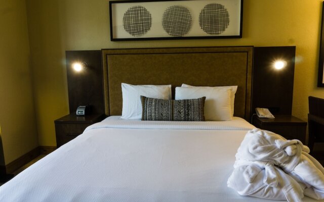 Updated Studio w Full Kitchen Spacious Living Room by RedAwning