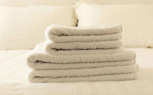 Magnuson Hotel Jacksonville Downtown