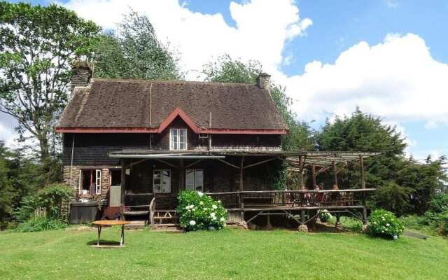 Castle Forest Lodge