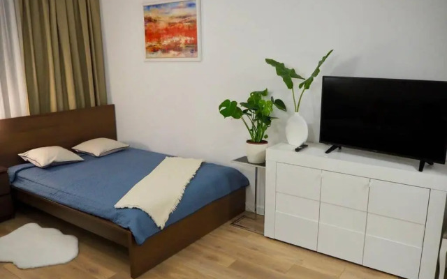 Studio Nr 4 close to Medicover and Paley Institute