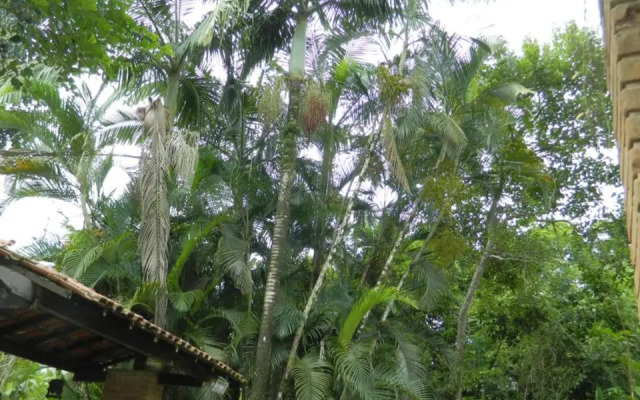 Solar Das Canoas
