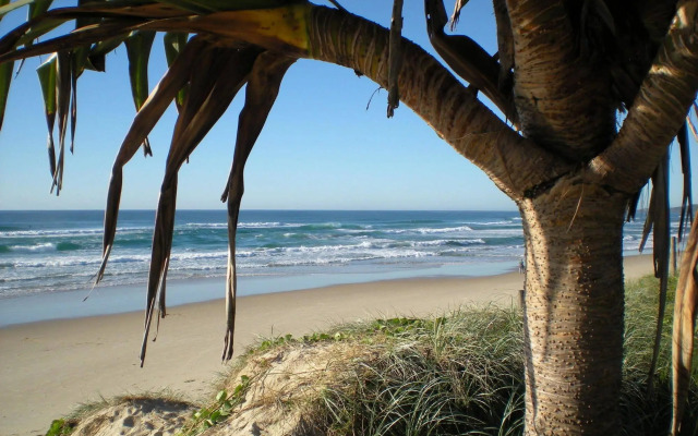 Horizons At Peregian