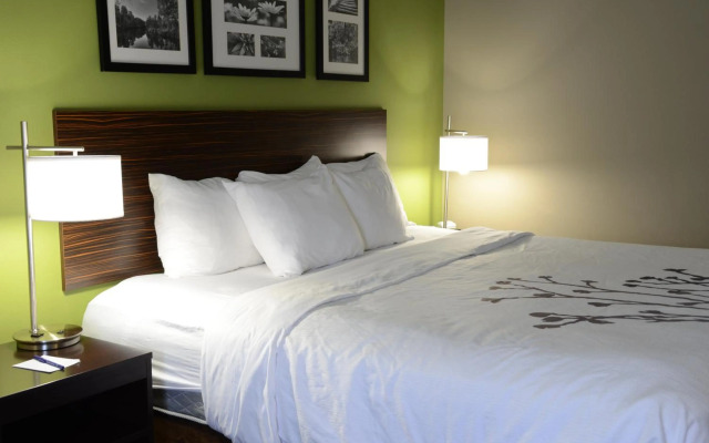 Sleep Inn & Suites Cave City