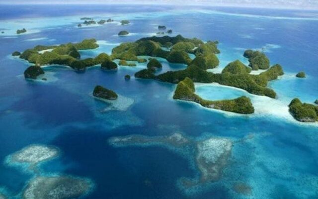 West Plaza Coral Reef