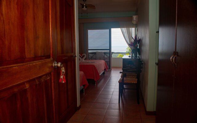 Vista Ballena