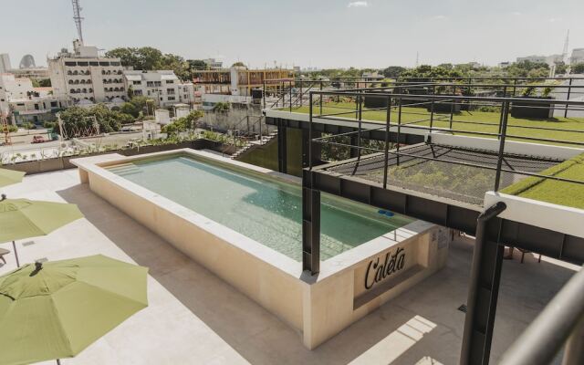 Caleta Hostel