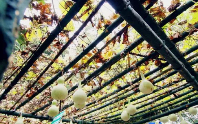 Mingxiuya Leisure Villa