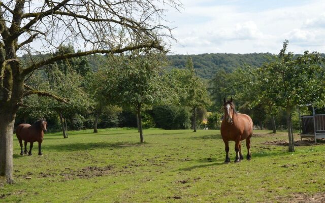 Spacious House in a Farm, Located in the Bucolic Region of Voeren