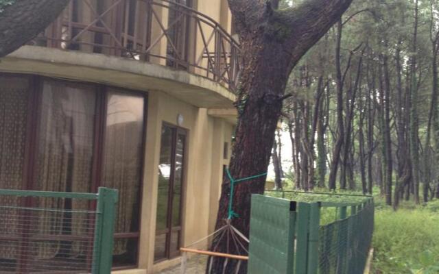 Nino Ciskaridze's Holiday Home