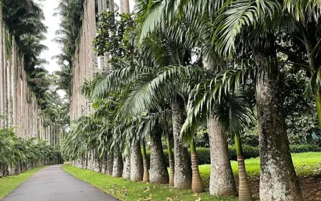 Villa My Way Yoga Retreat