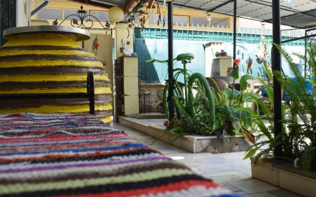 Urban Seaside Oasis - Adriana's Garden Paradise
